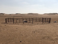 #9: The Camel Fold Yard