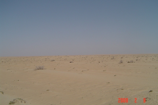 North view