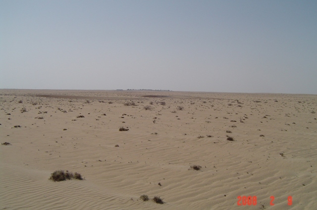 South view with sabkha and a farm