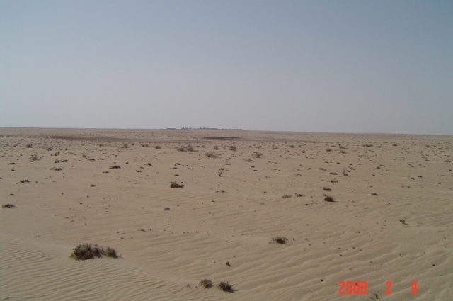 South view with sabkha and a farm