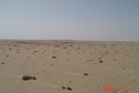 #3: South view with sabkha and a farm