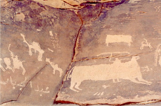 A typical petroglyph