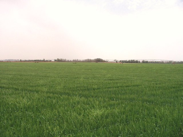 Looking south from the confluence point.