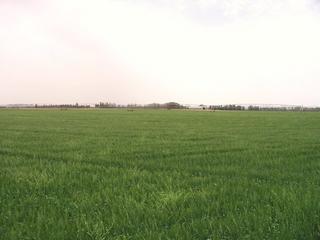 #1: Looking south from the confluence point.
