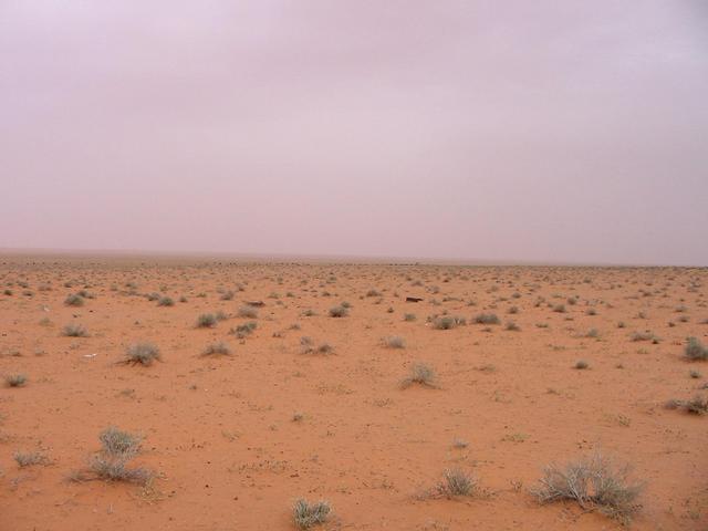 Looking east from the confluence point.