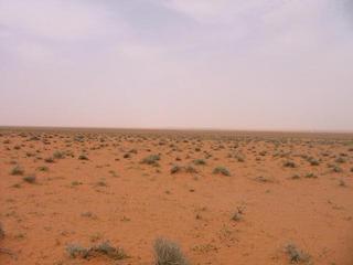 #1: Looking north from the confluence point.