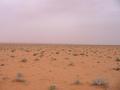 #2: Looking east from the confluence point.