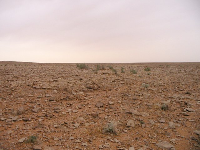 Looking north from the confluence point.