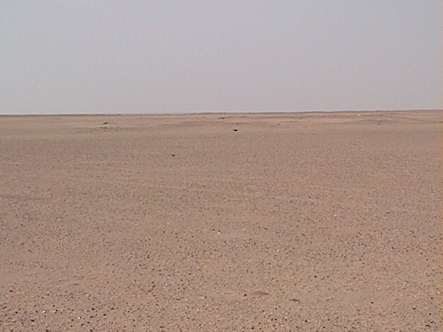 View to the South of 28N 46E confluence point.