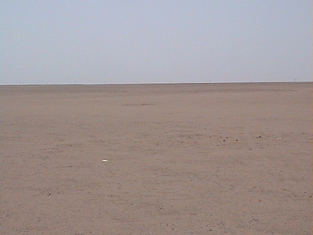 View to the South of 28N 47E confluence point.