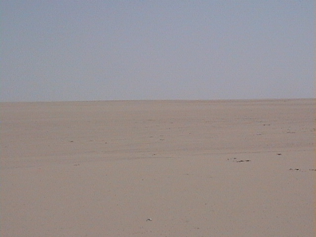 View to the East of 28N 48E confluence point.