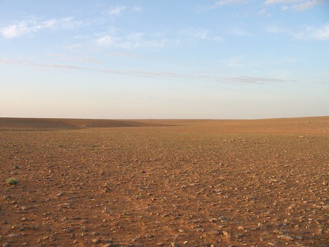 Looking north from the confluence point.