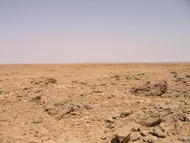 Looking east from the confluence point.