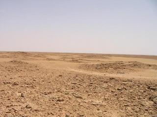 #1: Looking south from the confluence point.