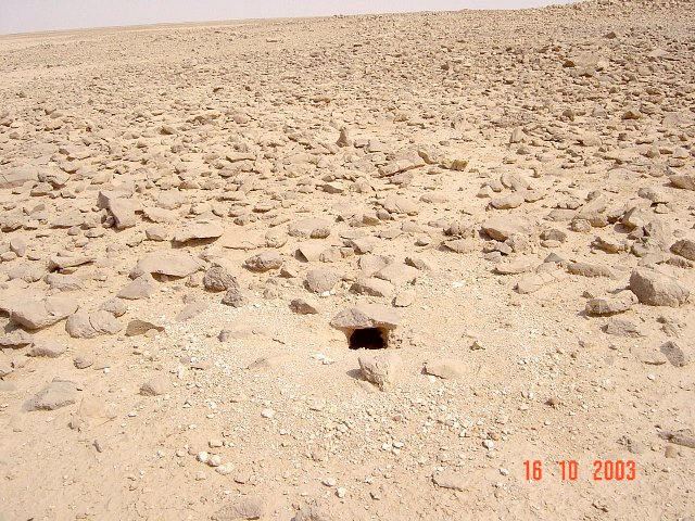 Dhubb burrow a couple of meters from the Confluence