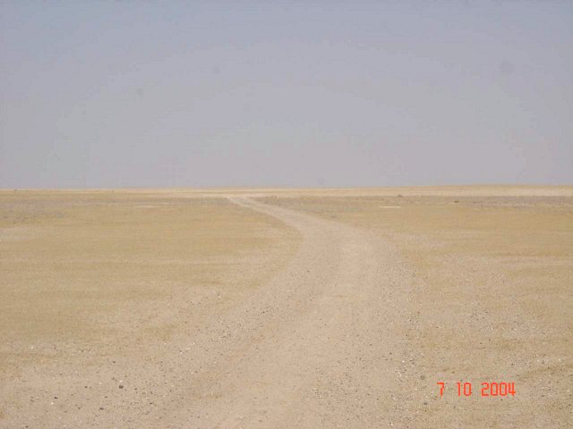 Desert tracks