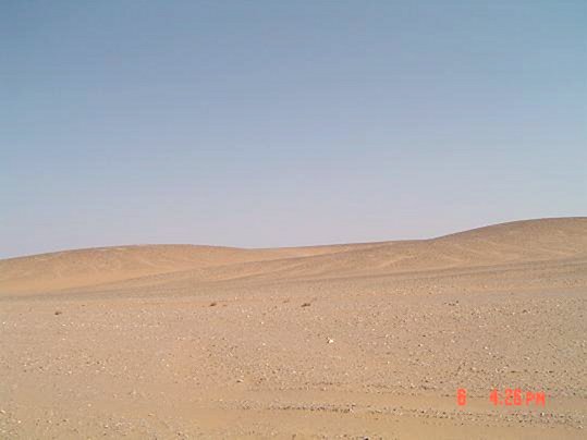 South view