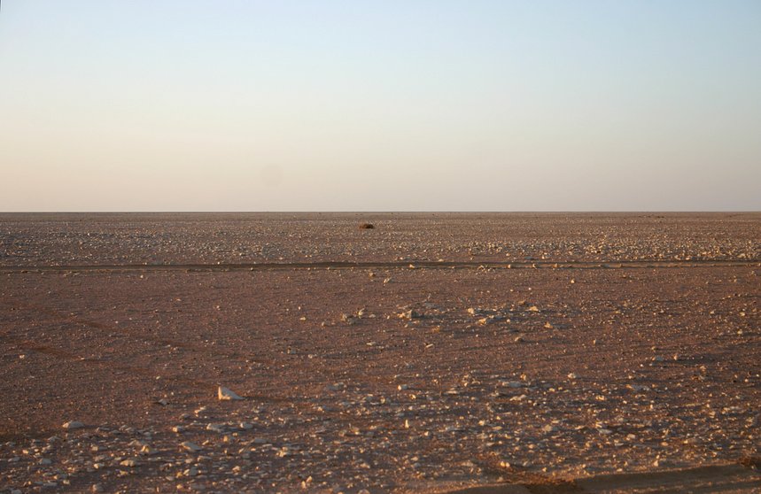 Northerly view from the Confluence