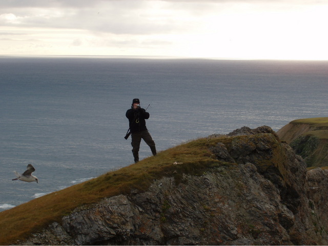 There may be polar bears in Bjørnøya, therefore the gun