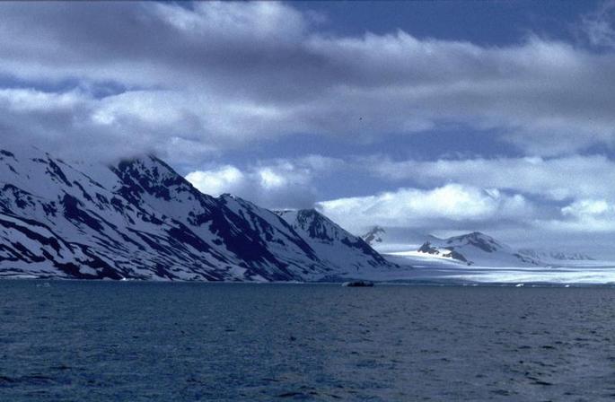 Looking across the fjord