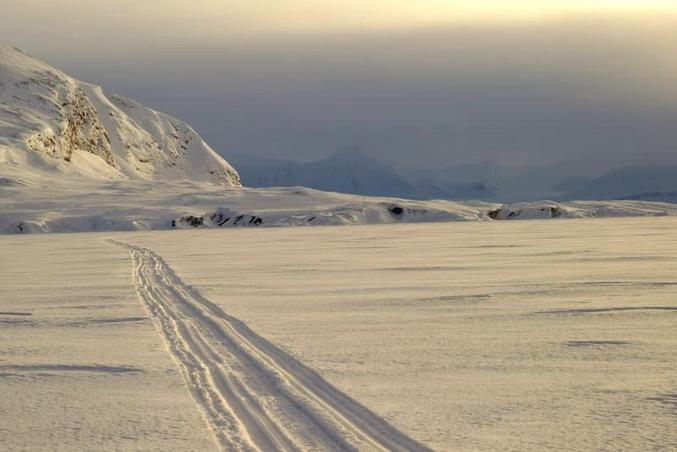 View towards South: Blomstrand and the track of the "other" snowmobile