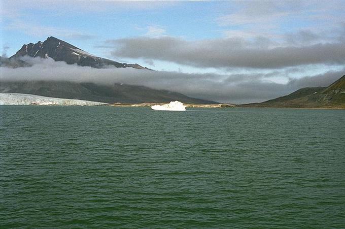 View to the East of the confluence. An Iceberg in front of us