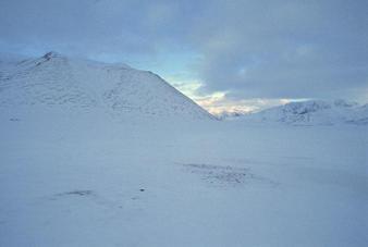 #1: view to the north towards Wijdefjorden