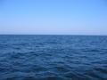 #6: Blick nach Norden (View Nord)