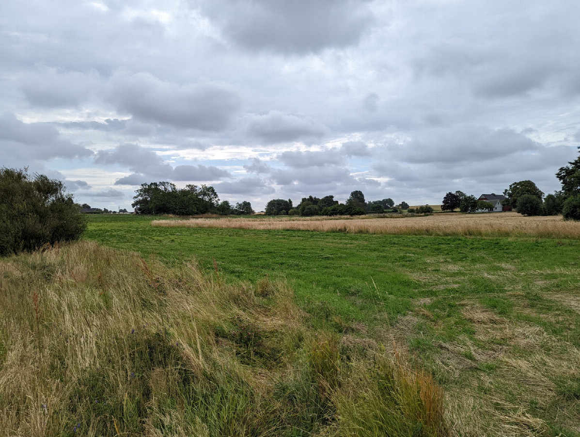 Looking toward the confluence