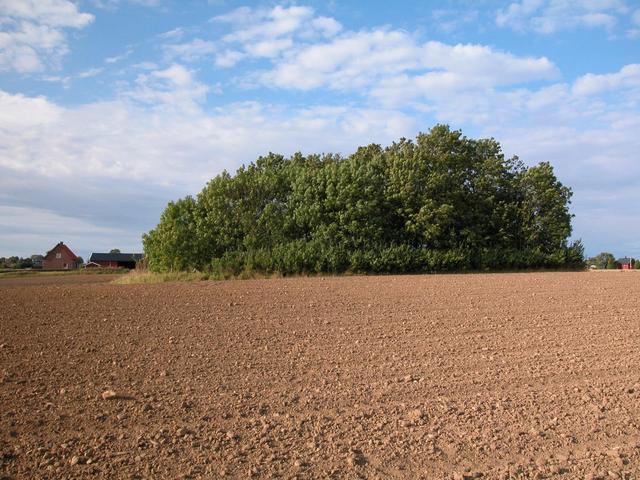 North view