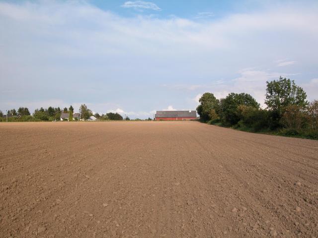 East view