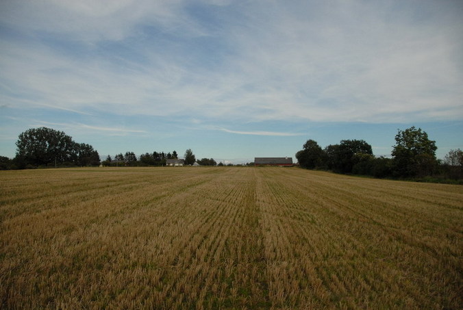 View north / Blick nach Norden