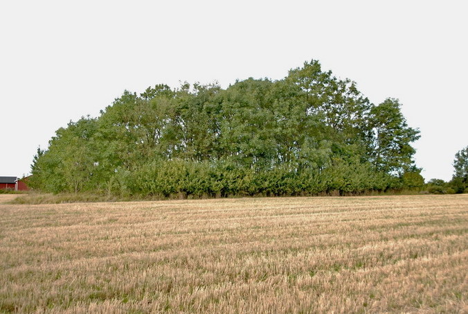 View east / Blick nach Osten