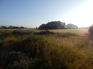 #1: The Confluence from 50 m distance