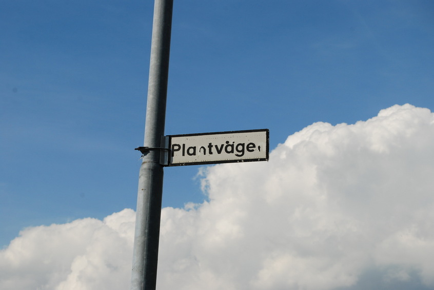 Plantvägen