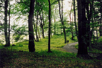 #1: A view of the confluence; Peter marks the exact spot.