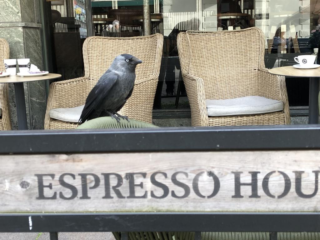 Am Kaffeehaus