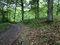 #3: Nord