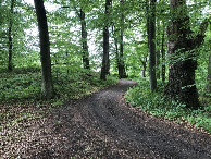 #6: West