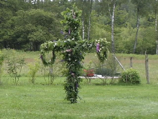 Summertree for the celebration of midsummer