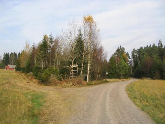 Road near the confluence