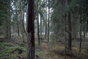 #2: View north / Blick nach Norden