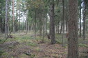 #4: View south / Blick nach Süden