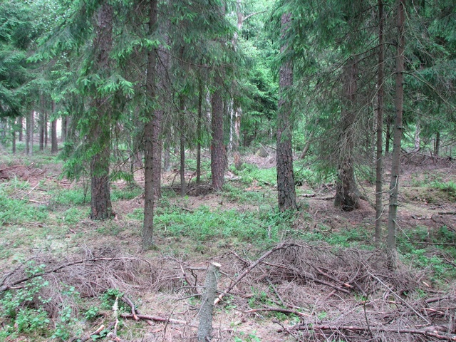 View from Sout to North. CP in the dead centre of the picture.