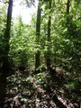 #3: View South