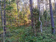 #2: Osten; view east