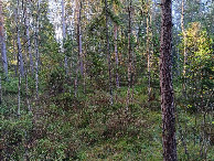 #3: S&uuml;den; view south