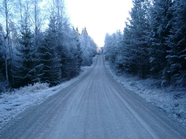 Looking west on the nearby road