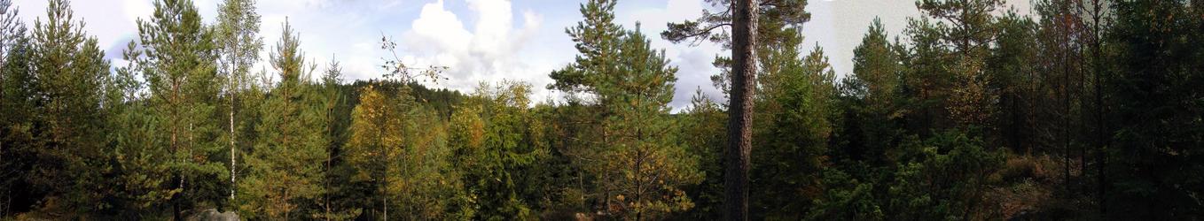 Panorama from the confluence area