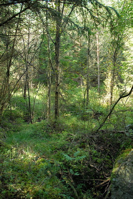 View to the point / Blick zum Confluence Punkt